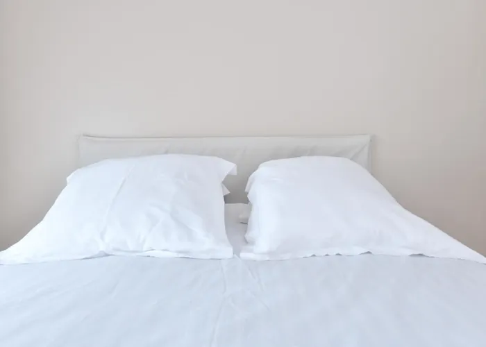 1 Piece 20 M2 파리